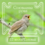 12 песен соловья