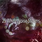 25 White Noise Storms