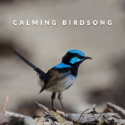 Calming Birdsong