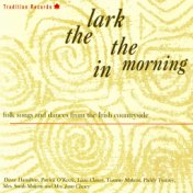 The Lark in the Morning