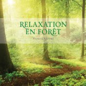 Relaxation En Foret