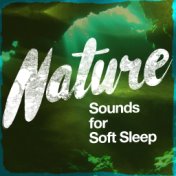 Nature Sounds for Soft Sleep