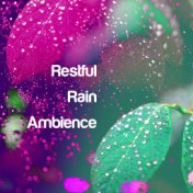 Restful Rain Ambience