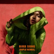 Bird Song (Diplo Remix)