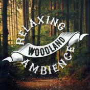 Relaxing Woodland Ambience