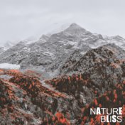 Nature Bliss – Relaxing Music Therapy, Peaceful Songs for Relaxation, Sleep, Deep Meditation, Inner Harmony, Nature Sounds to Ca...
