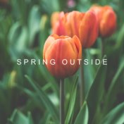 Spring Outside