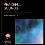Peaceful Sounds - Relish In Meditation