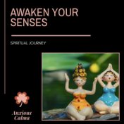 Awaken Your Senses - Spiritual Journey