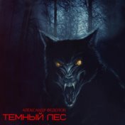 Тёмный лес