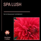 Spa Lush - The Extravagant Experience