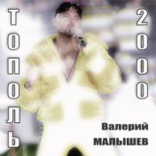Тополь 2000