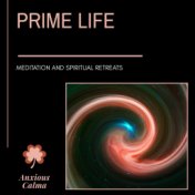 Prime Life - Meditation And Spiritual Retreats