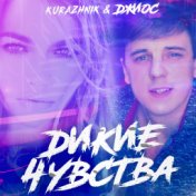 Дикие чувства (Ночное Движение remix)