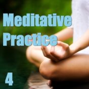 Meditative Practice, Vol. 4