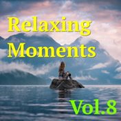 Relaxing Moments, Vol. 8