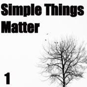 Simple Things Matter, Vol. 1