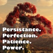 Persistance. Perfection. Patience. Power.