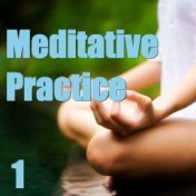 Meditative Practice, Vol. 1