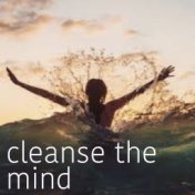 Cleanse The Mind