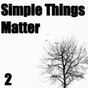 Simple Things Matter, Vol. 2