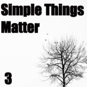 Simple Things Matter, Vol. 3
