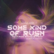Some Kind of Rush (2Drunk2Funk Sunrise House Mix)