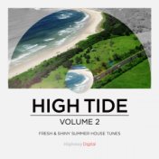 High Tide, Vol. 2 (Compiled By Mike Spirit)
