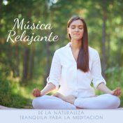 Música Relajante de la Naturaleza Tranquila para la Meditación