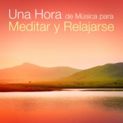 Una Hora de Música para Meditar y Relajarse