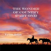 The Wonder Of Country (Part One)