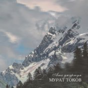 Мурат Токов