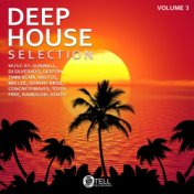 Deep House Selection, Vol. 3