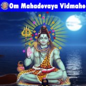 Om Mahadevaya Vidmahe
