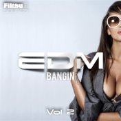 Bangin EDM, Vol. 2