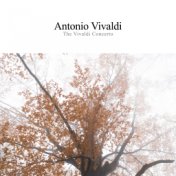 The Vivaldi Concerto