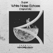White Noise Echoes