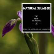 Natural Slumber - Music For Deep Sleep And Relaxation