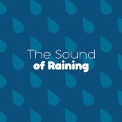 The Sound of Raining
