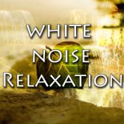 White Noise Relaxation