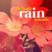 Delicate Rain Sounds