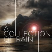 A Collection of Rain