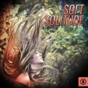 Soft Solitude