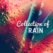 Collection of Rain