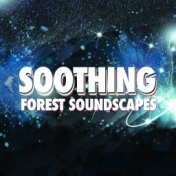 Soothing Forest Soundscapes