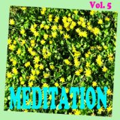 Meditation, Vol. 5