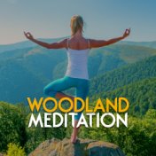 Woodland Meditation