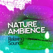 Nature Ambience: Relaxing Sounds