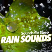 Sounds for Sleep: Rain Sounds