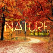 Meditate to Nature Ambience